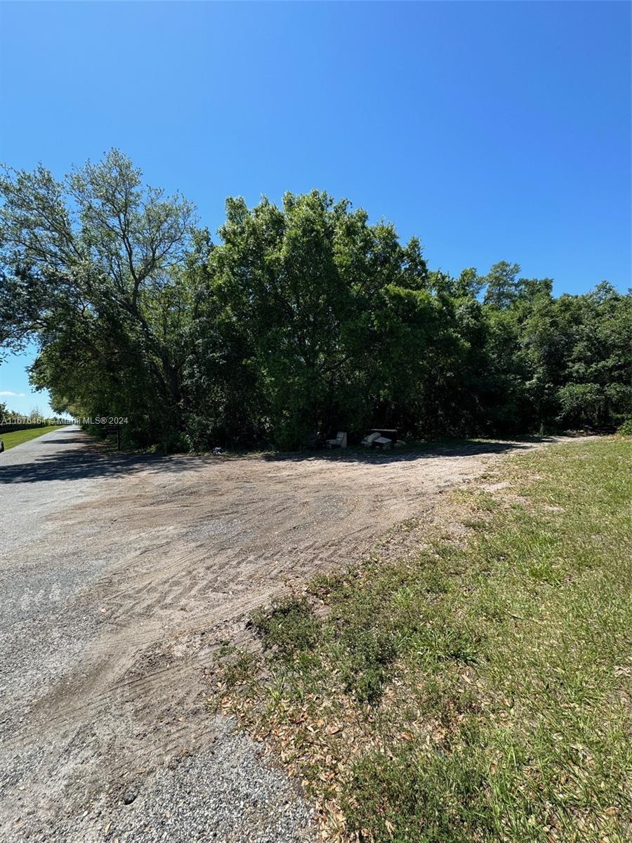Clark Rd, Saint Cloud, Florida image 4