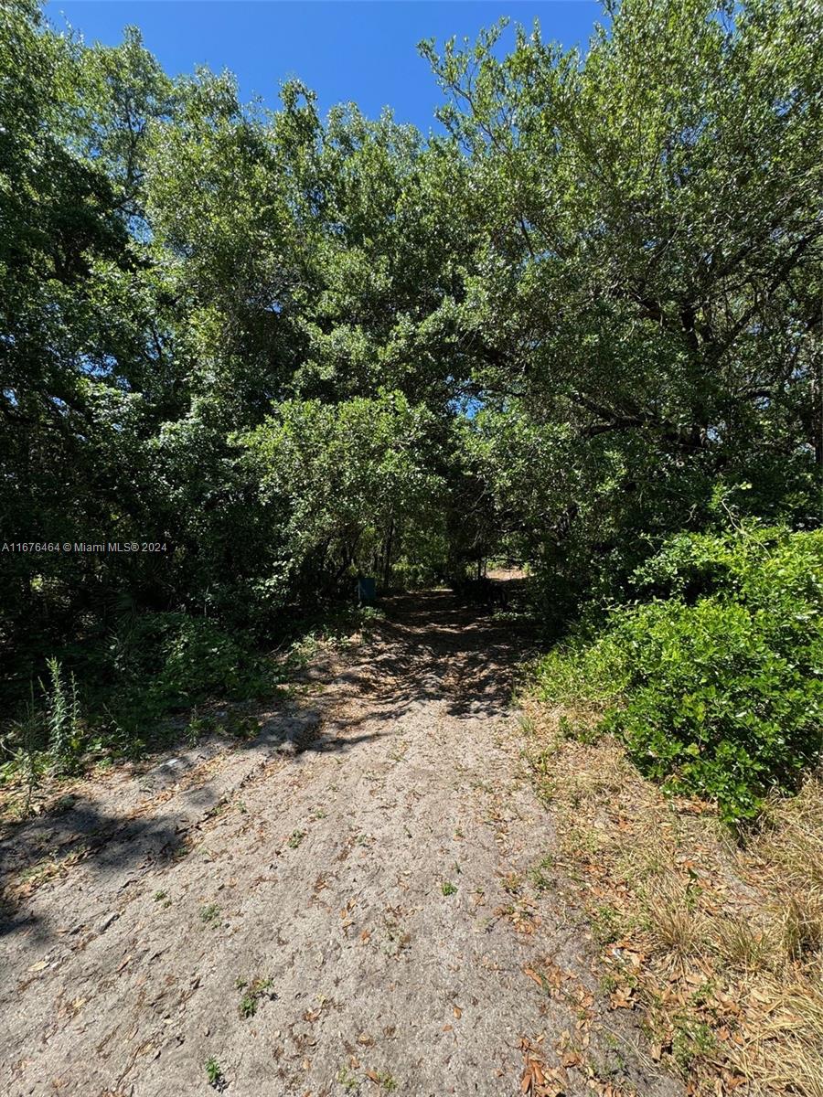 Clark Rd, Saint Cloud, Florida image 5