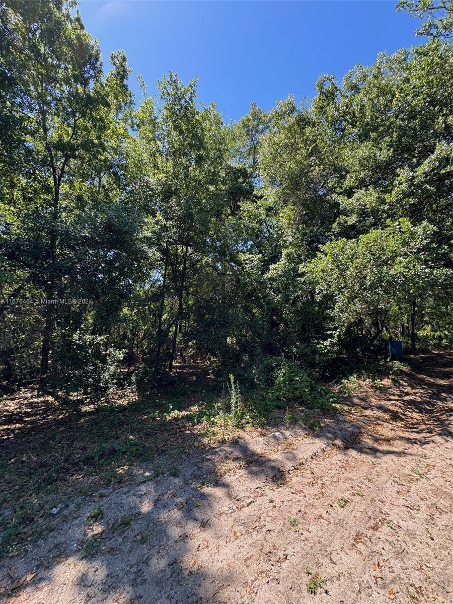 Clark Rd, Saint Cloud, Florida image 6