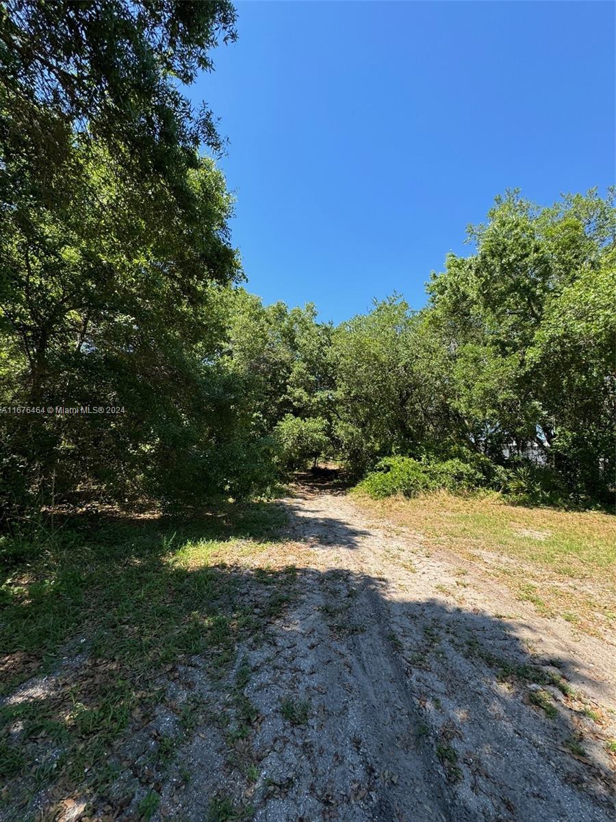 Clark Rd, Saint Cloud, Florida image 7