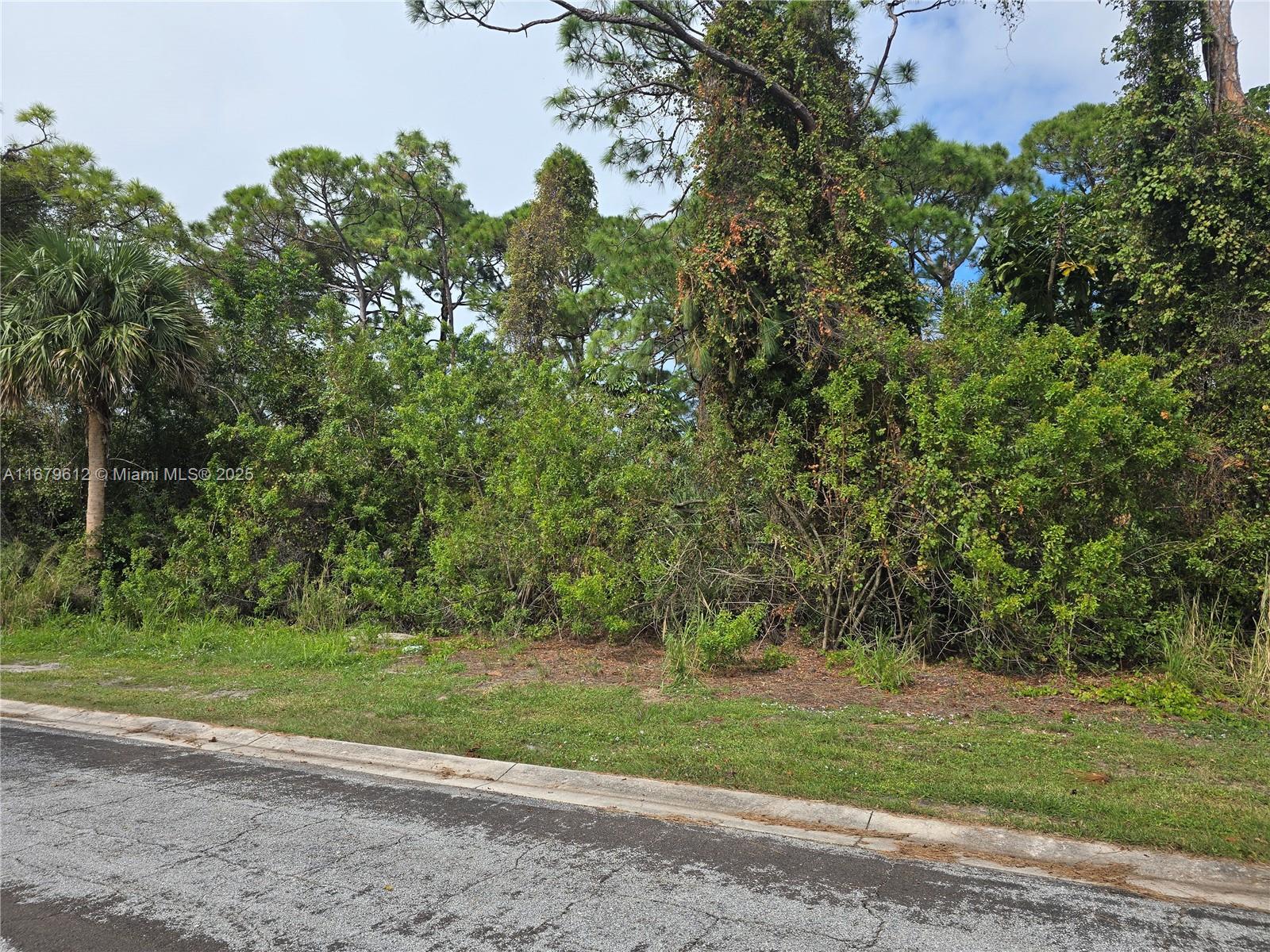 125 Cardinal Dr, Sebastian, Florida image 3