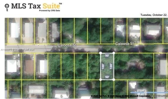 Lot 32 Caloosa St, Sugarloaf, Florida image 3