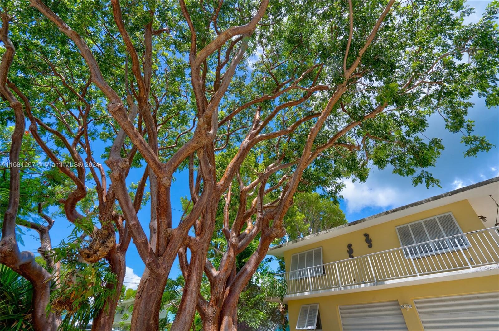 1121 Grand Street, Key Largo, Florida image 13