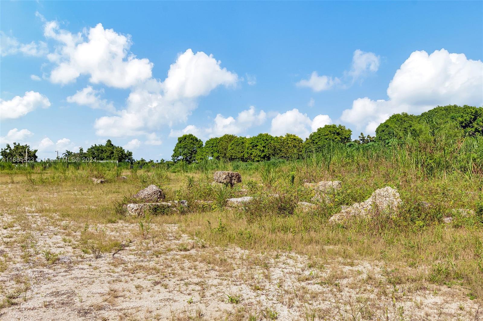 SW 240th Street, Homestead, Florida image 13