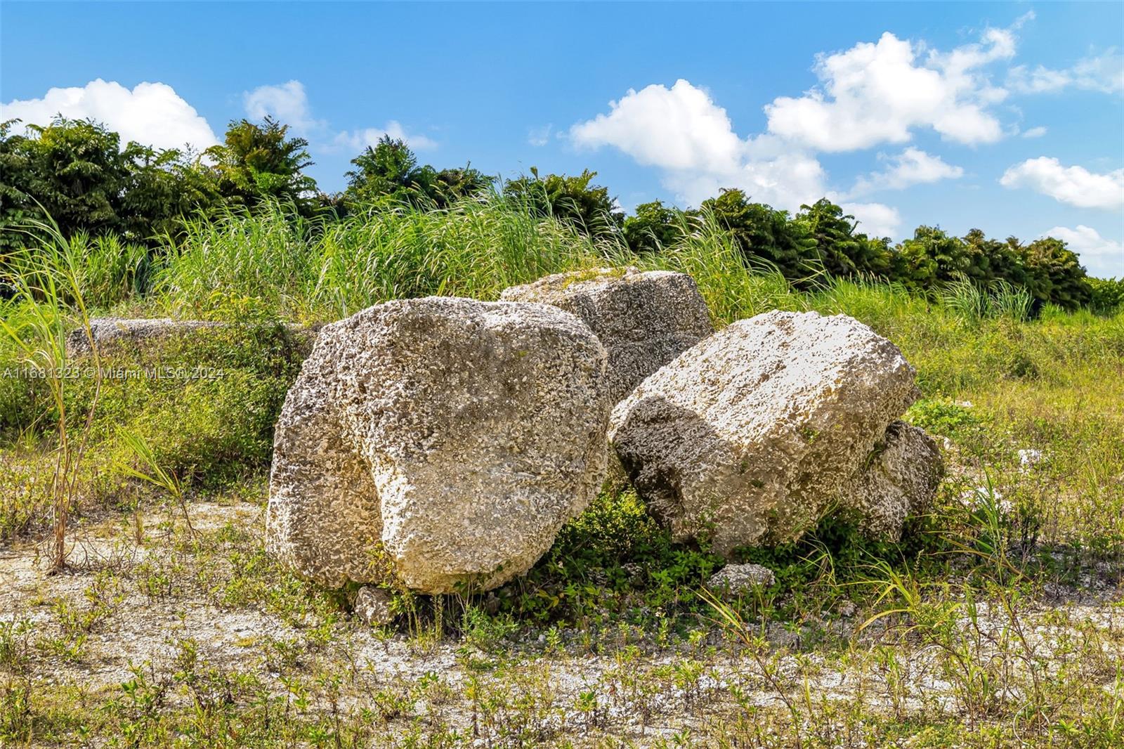 SW 240th Street, Homestead, Florida image 14