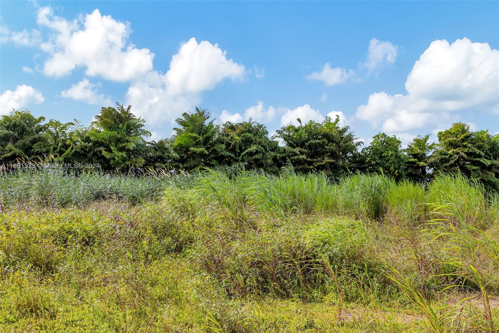 SW 240th Street, Homestead, Florida image 18