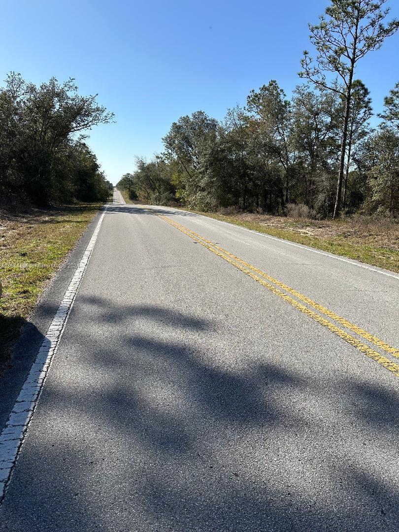 Southwest Admiral Landing Dr Dunnellon., Ocala, Florida image 2