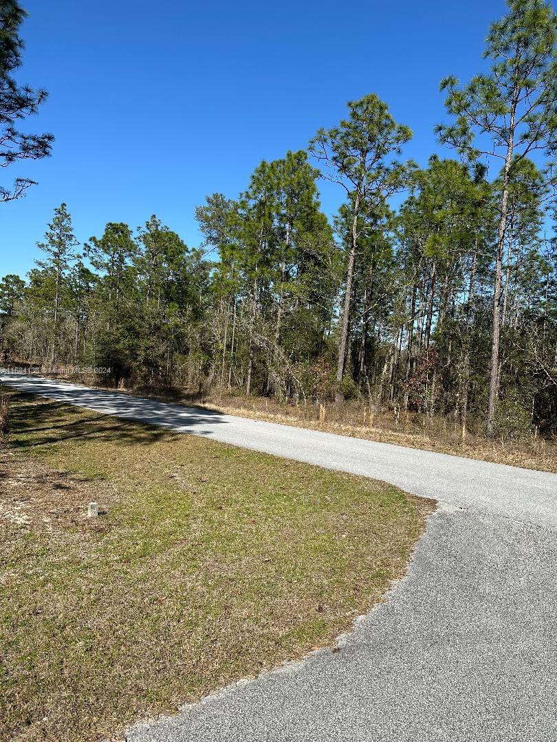 Southwest Admiral Landing Dr Dunnellon., Ocala, Florida image 3