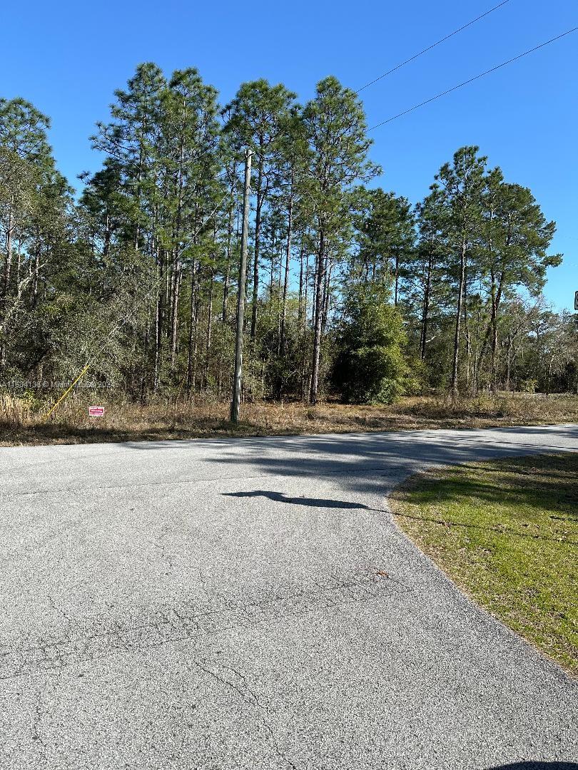 Southwest Admiral Landing Dr Dunnellon., Ocala, Florida image 4