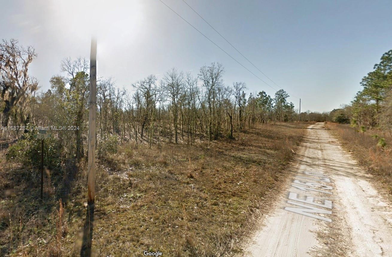 Lot 22 NE 15th Ln, Williston, Florida image 1