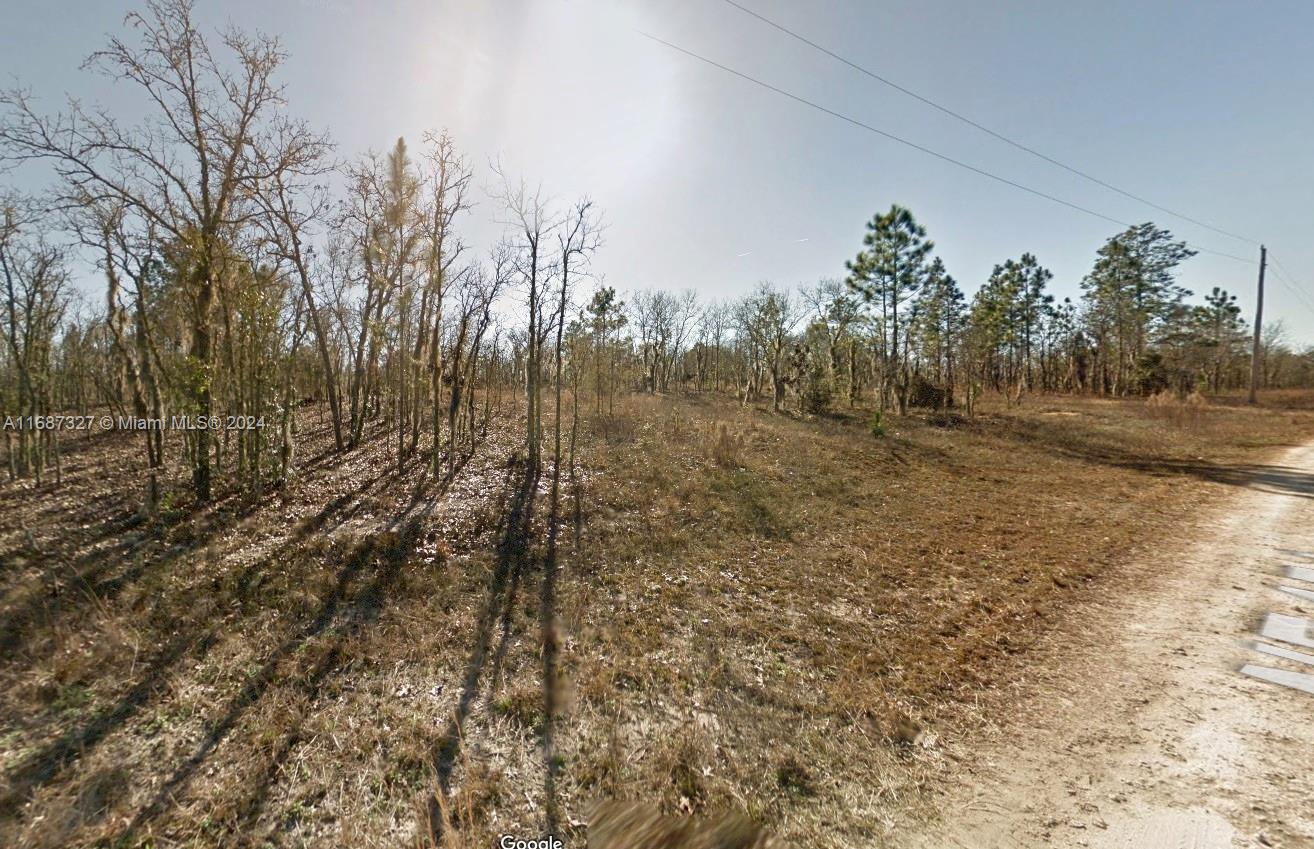 Lot 23 NE 15th Ln, Williston, Florida image 1