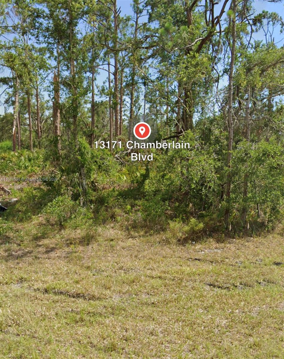 13171 Chancellor Blvd Por, Port Charlotte, Florida image 1