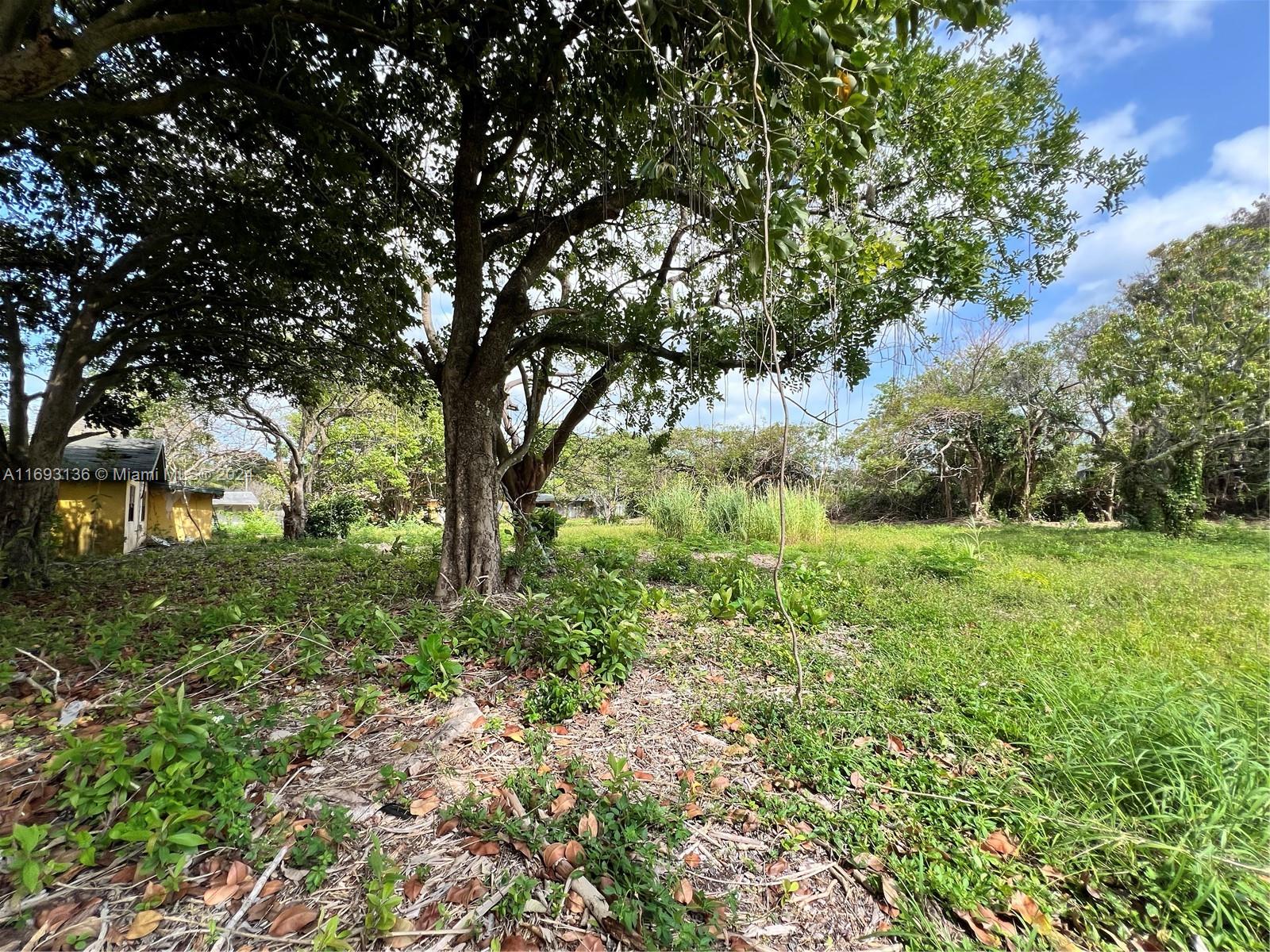 20650 Old Cutler Rd, Cutler Bay, Florida image 12