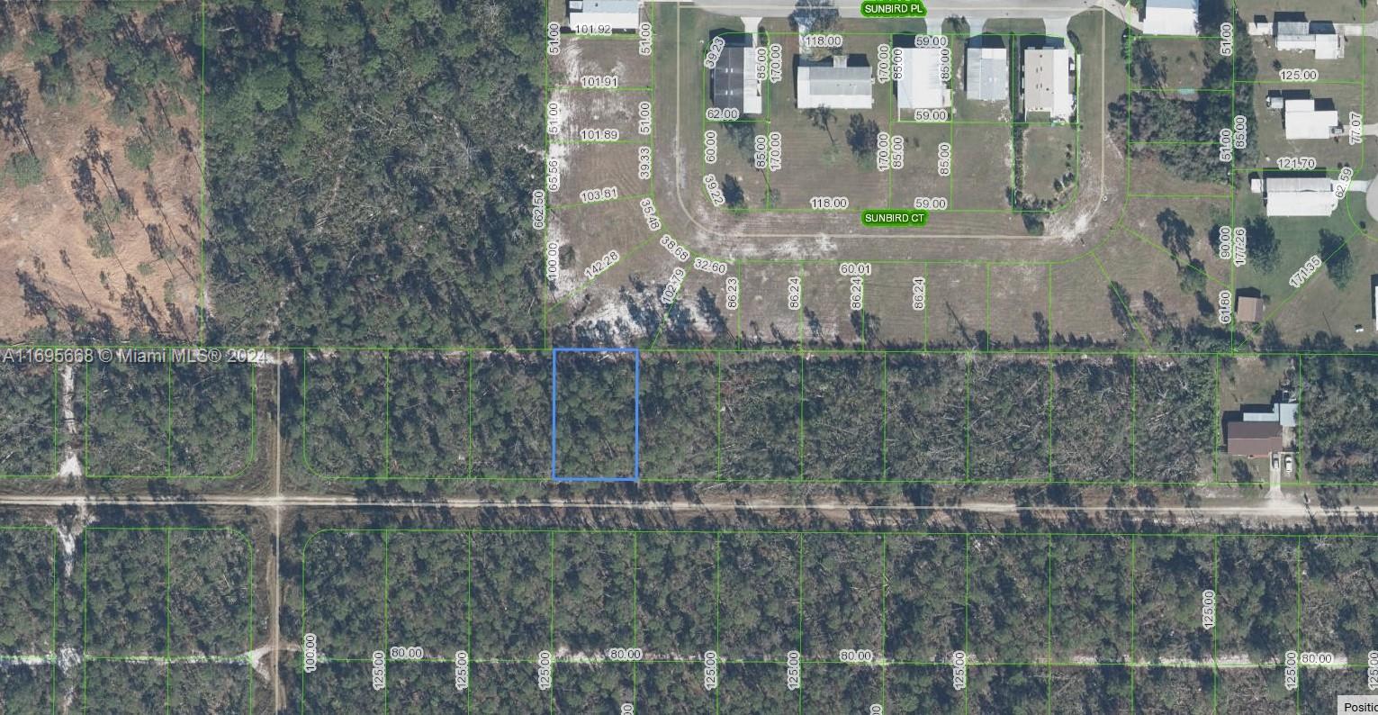 466 Nightingale Ave, Sebring, Florida image 1