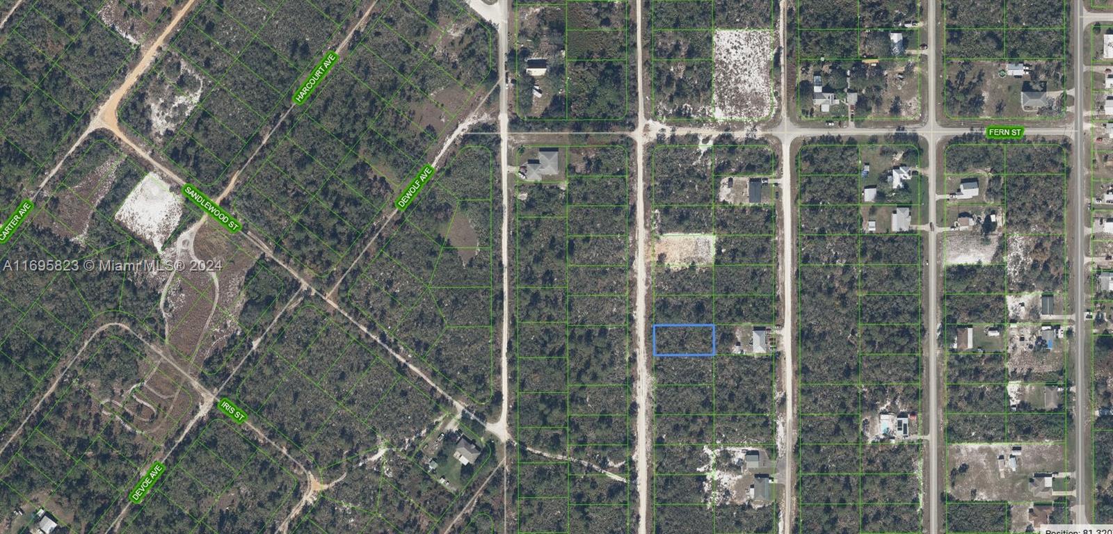 127 Patton Ave, Lake Placid, Florida image 2