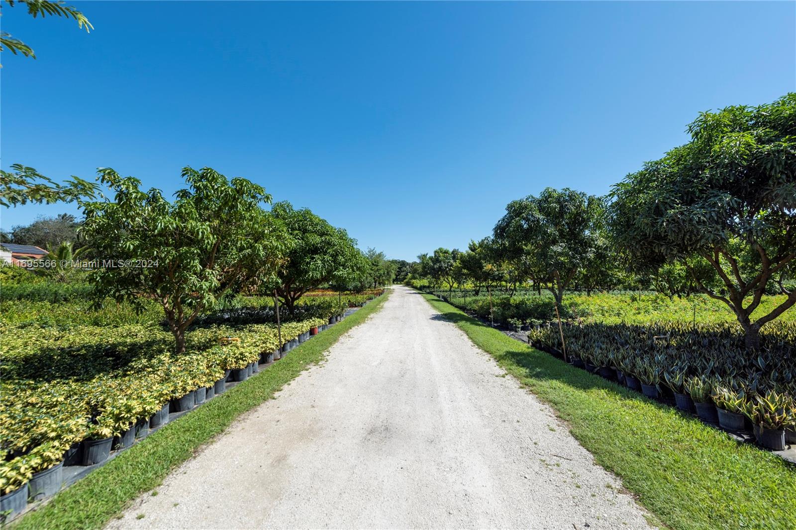 5960 SW 190th Ave, Southwest Ranches, Florida image 11