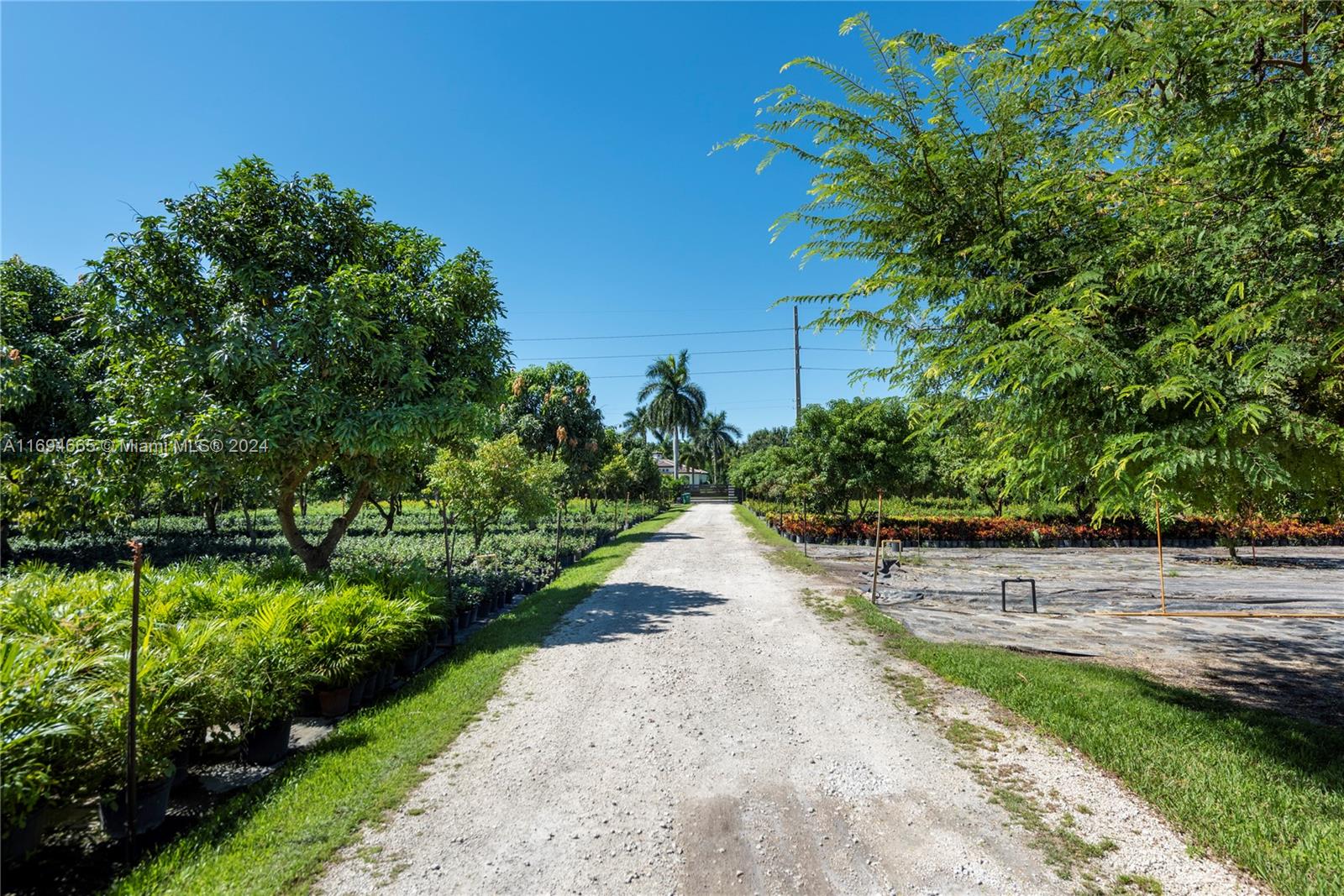 5960 SW 190th Ave, Southwest Ranches, Florida image 7