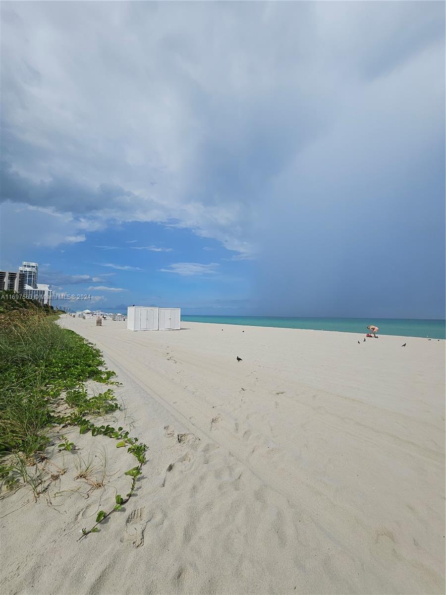 Residential, Miami Beach, Florida image 39