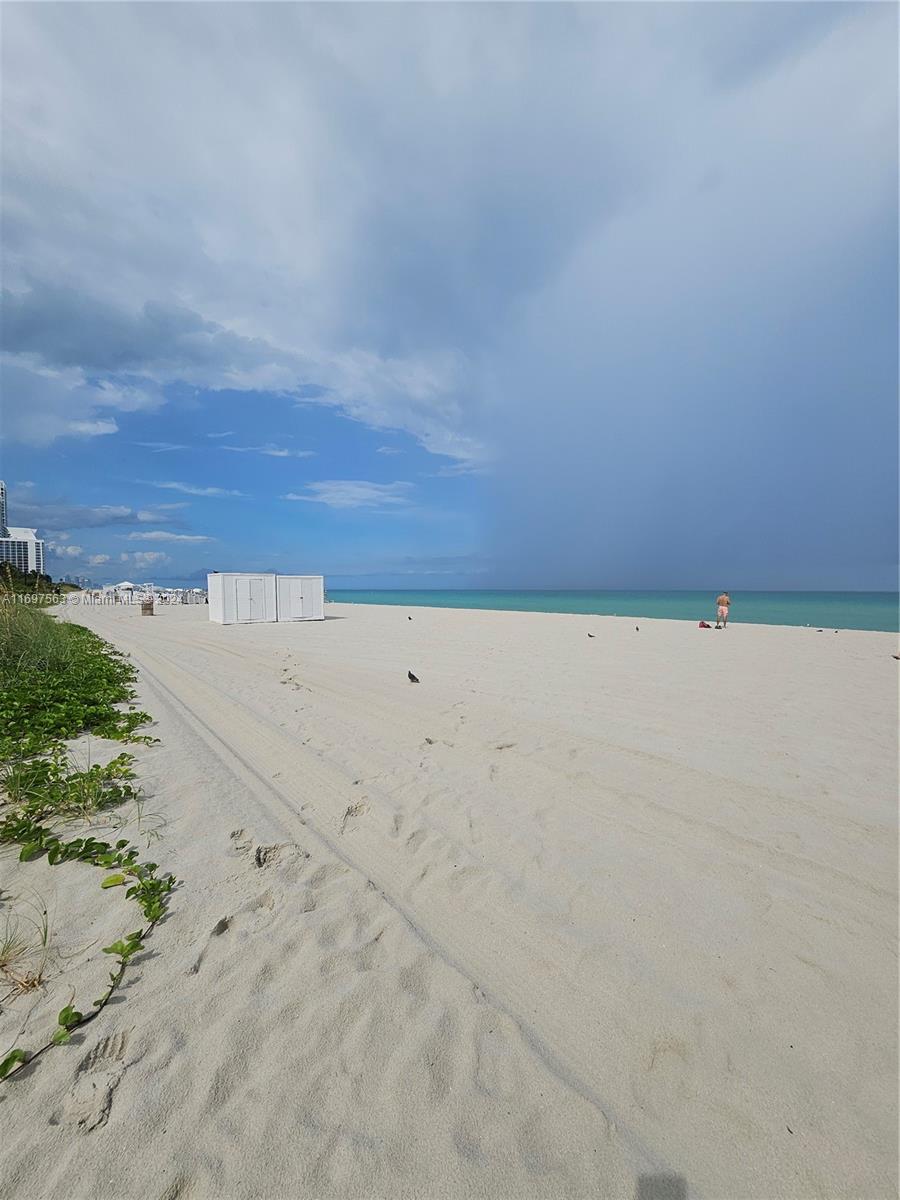 Residential, Miami Beach, Florida image 41