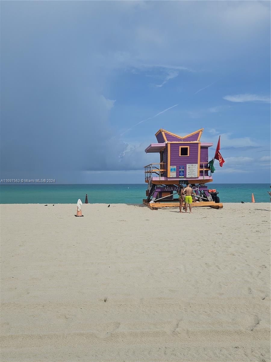 Residential, Miami Beach, Florida image 43