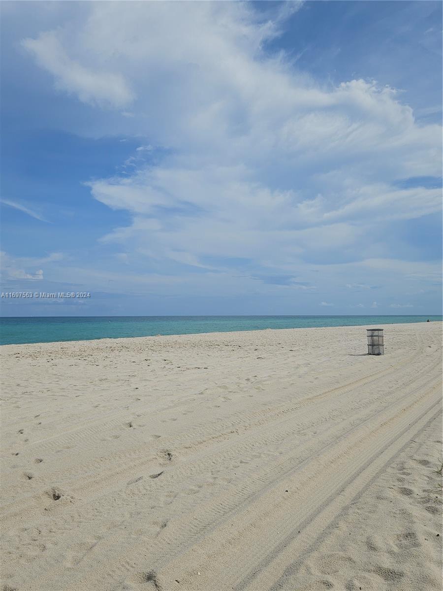 Residential, Miami Beach, Florida image 45