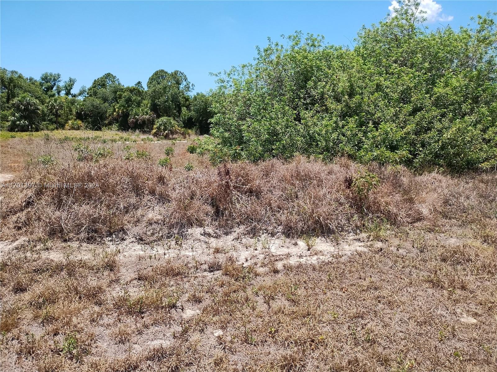 Casco, North Port, Florida image 4