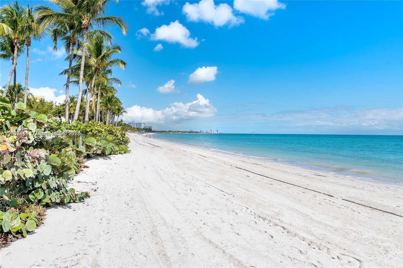 785 Crandon Blvd #205/305, Key Biscayne, Florida image 19