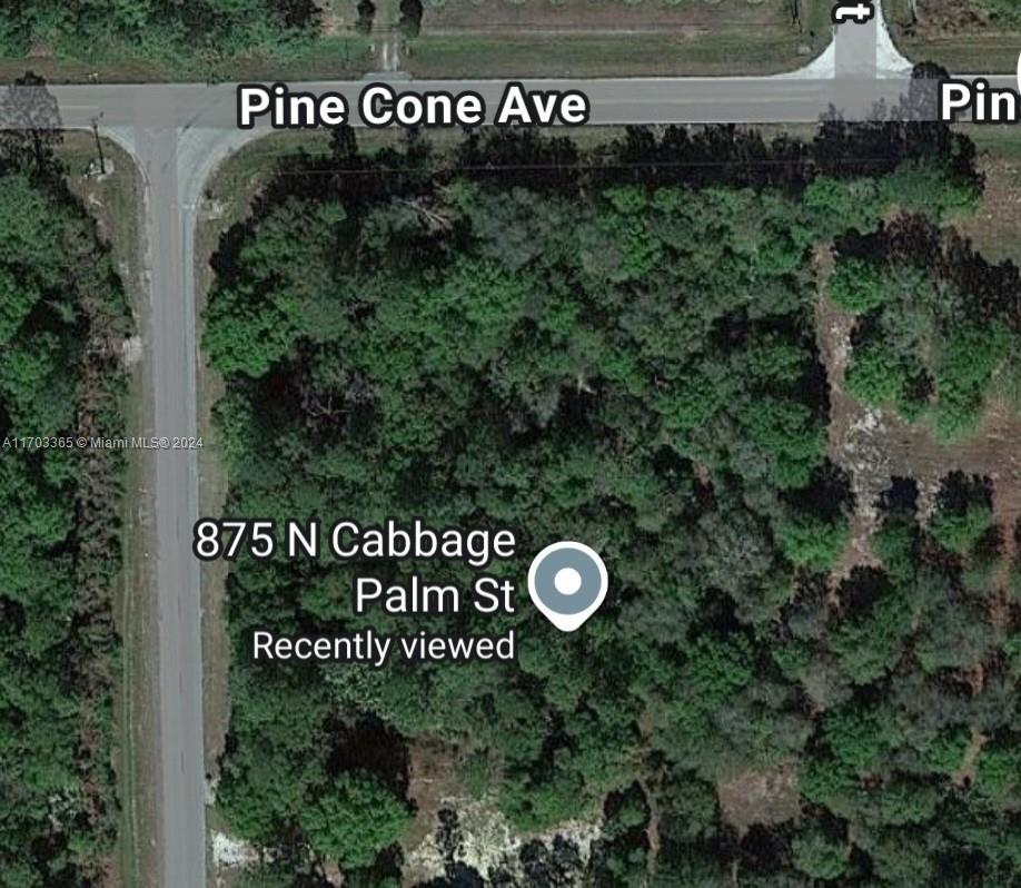 875 N Cabbage Palm St, Clewiston, Florida image 3