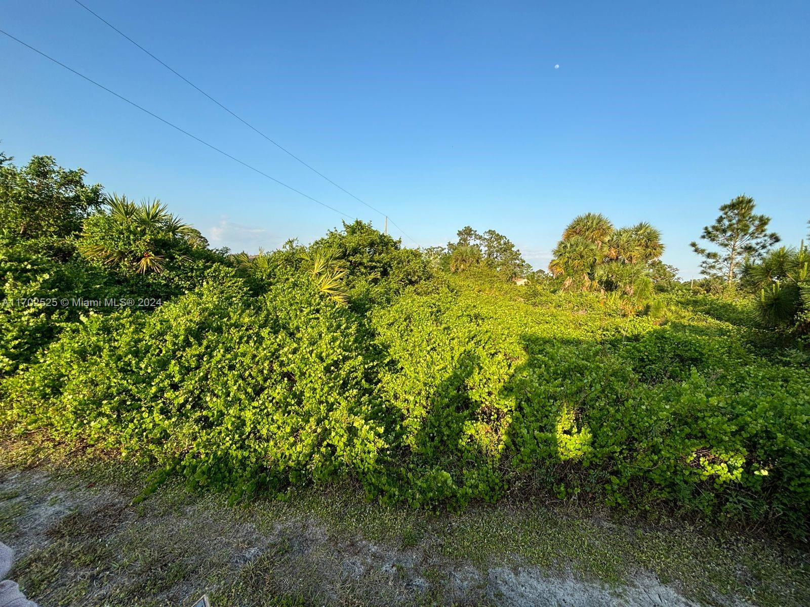 848 Giorgio, Lehigh Acres, Florida image 1