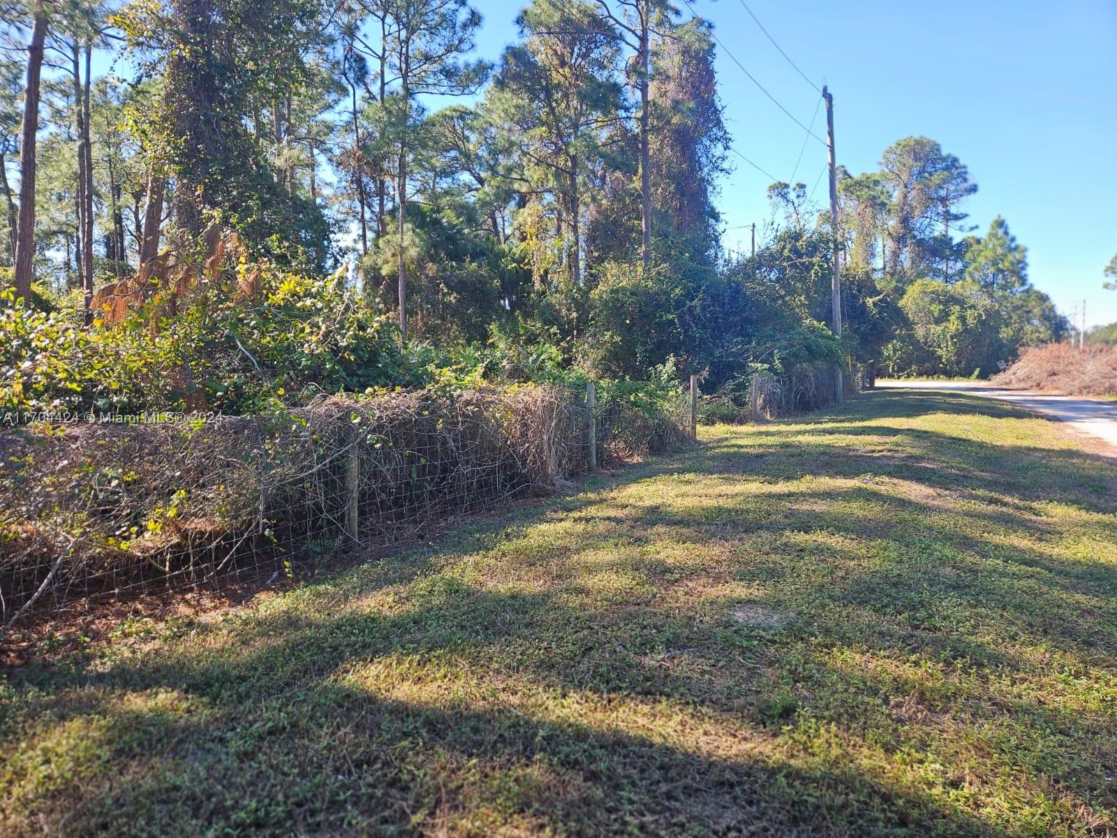 Grovers Road, Fort Pierce, Florida image 8