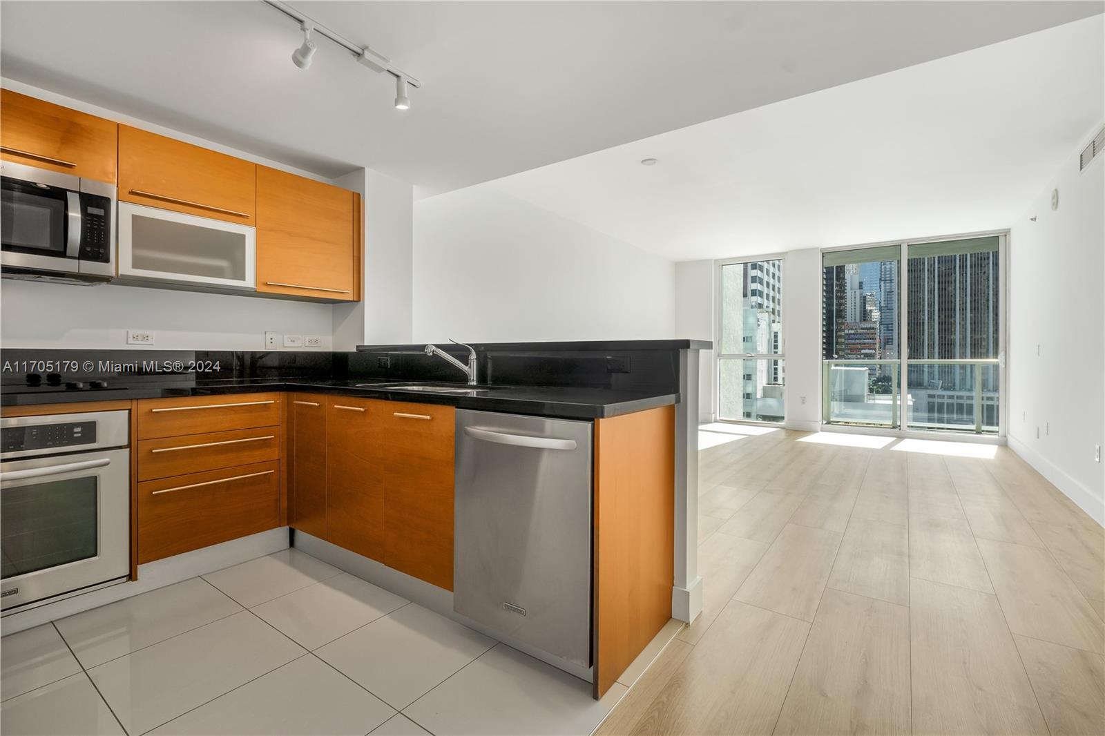 244 Biscayne Blvd #1505, Miami FL 33132