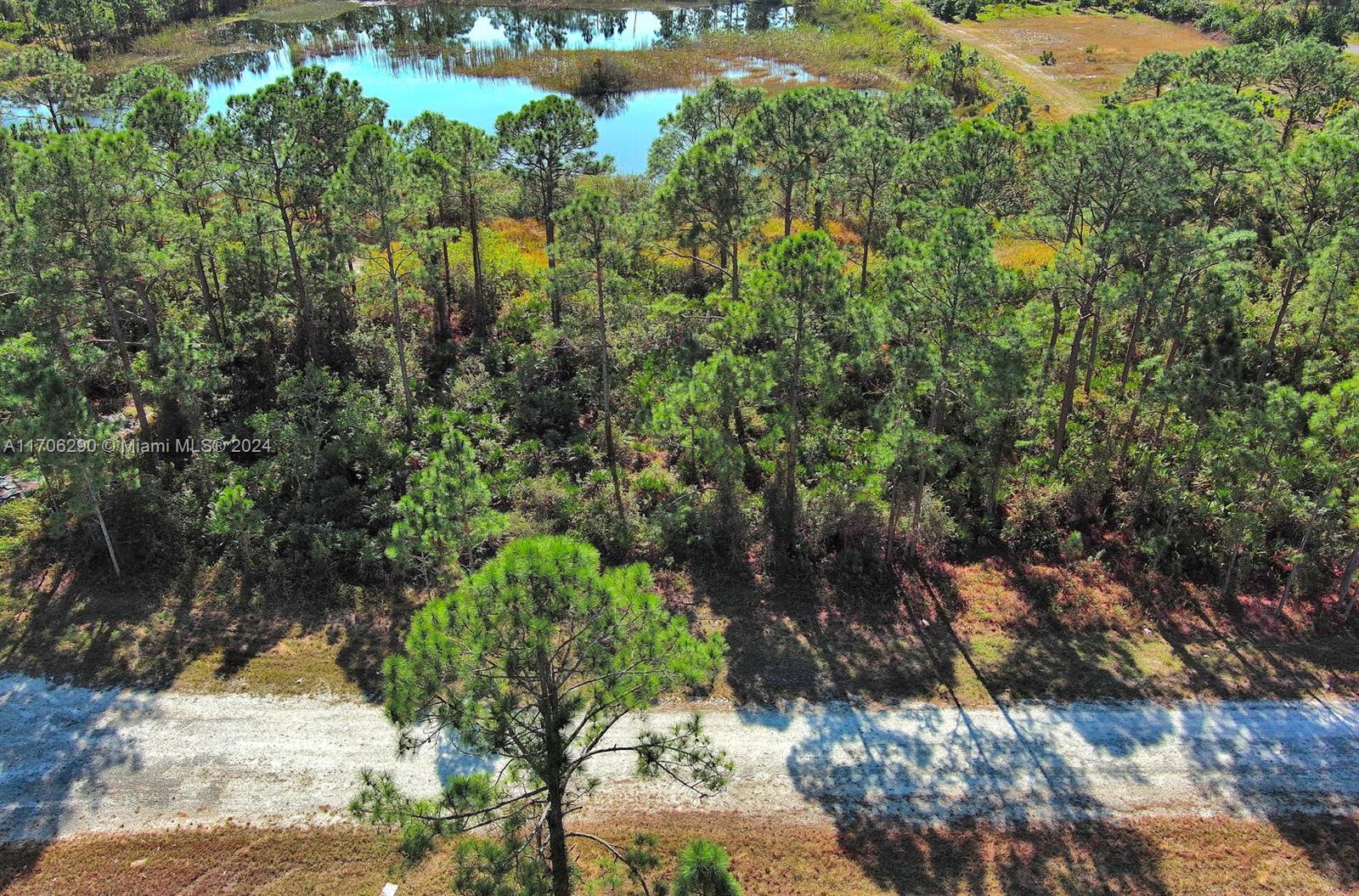 1136 Plantation Rd, Lehigh Acres, Florida image 8