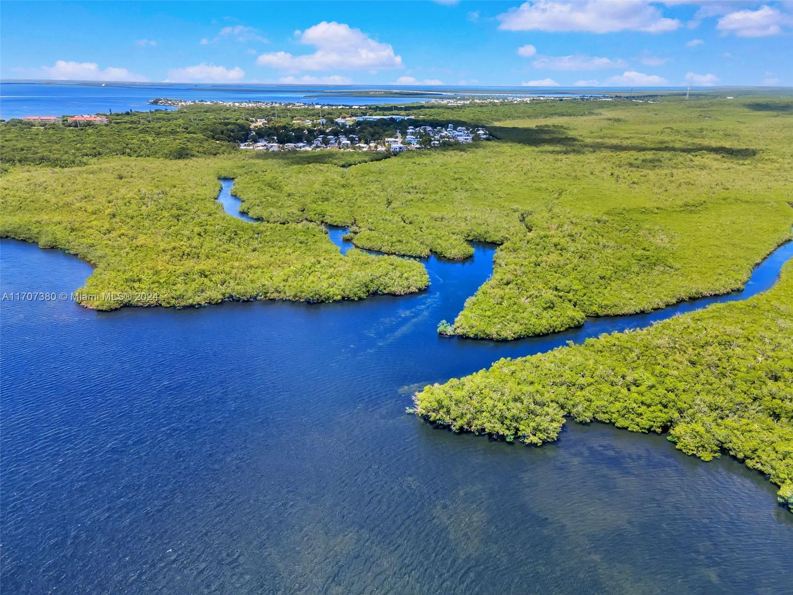 233 Loeb Ave, Key Largo, Florida image 31