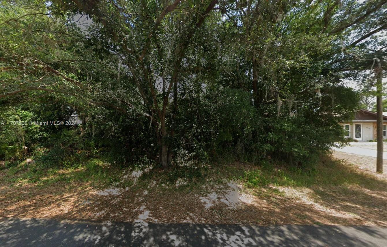 3922 Fonseca Avenue, Sebring, Florida image 1