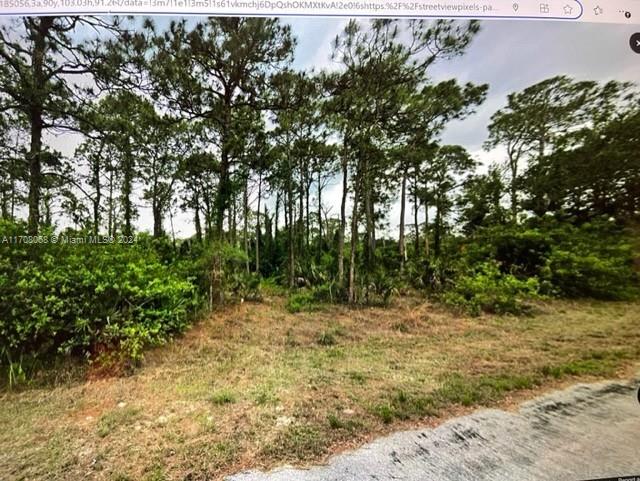 1710 Lake Ave, Lehigh Acres, Florida image 2
