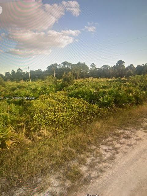 Land, Lehigh Acres, Florida image 2