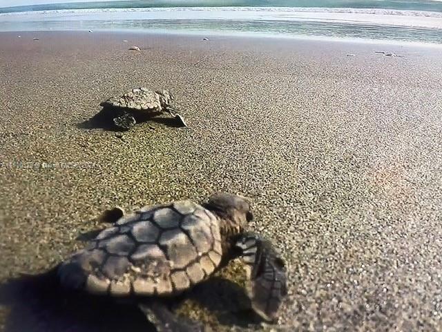 19670 Beach Rd #PHA4, Tequesta, Florida image 16