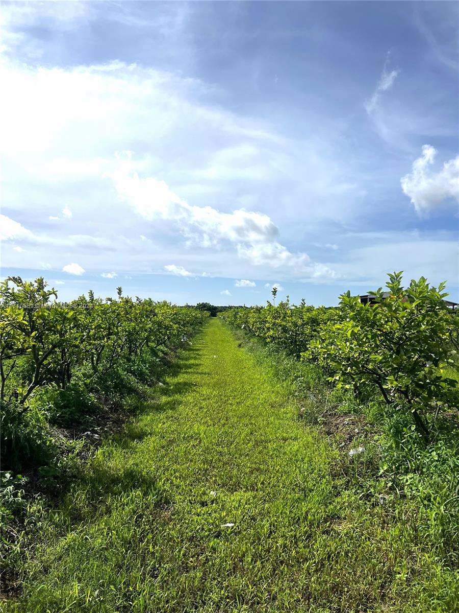 SW 38600 Sw 200th Ave, Homestead, Florida image 9