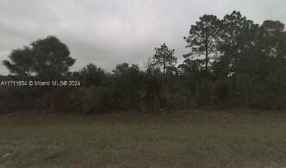 1355 NE 356, Okeechobee, Florida image 2