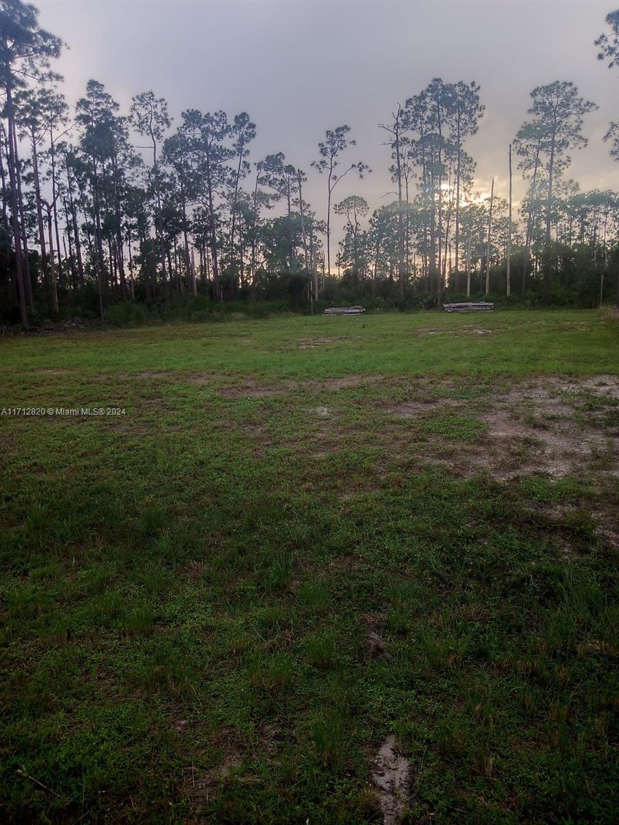 705 Monroe Aveenue, Lehigh Acres, Florida image 3