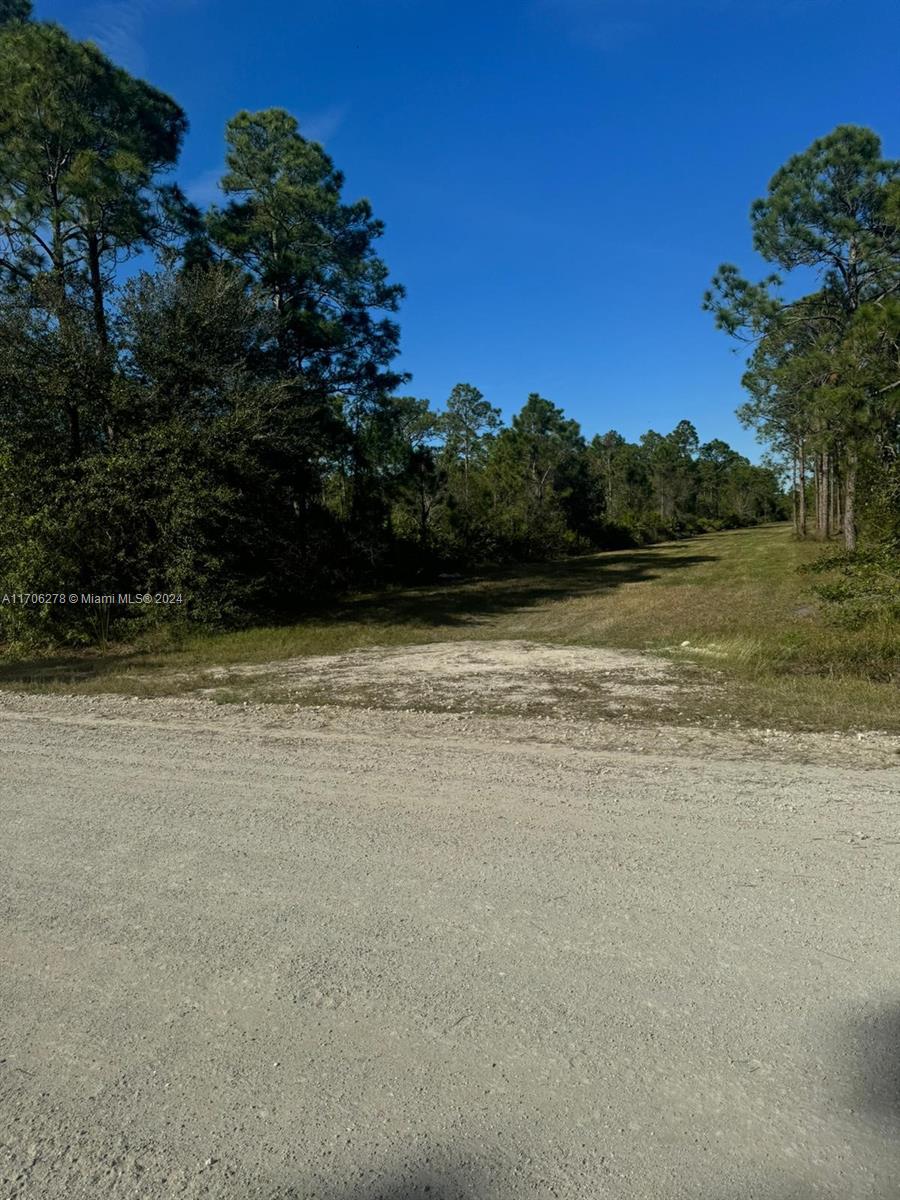 2001 Panama Av, Clewiston, Florida image 8