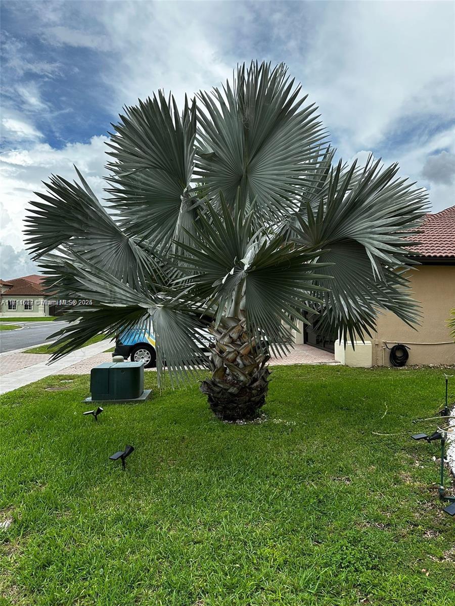 Property photo # 8