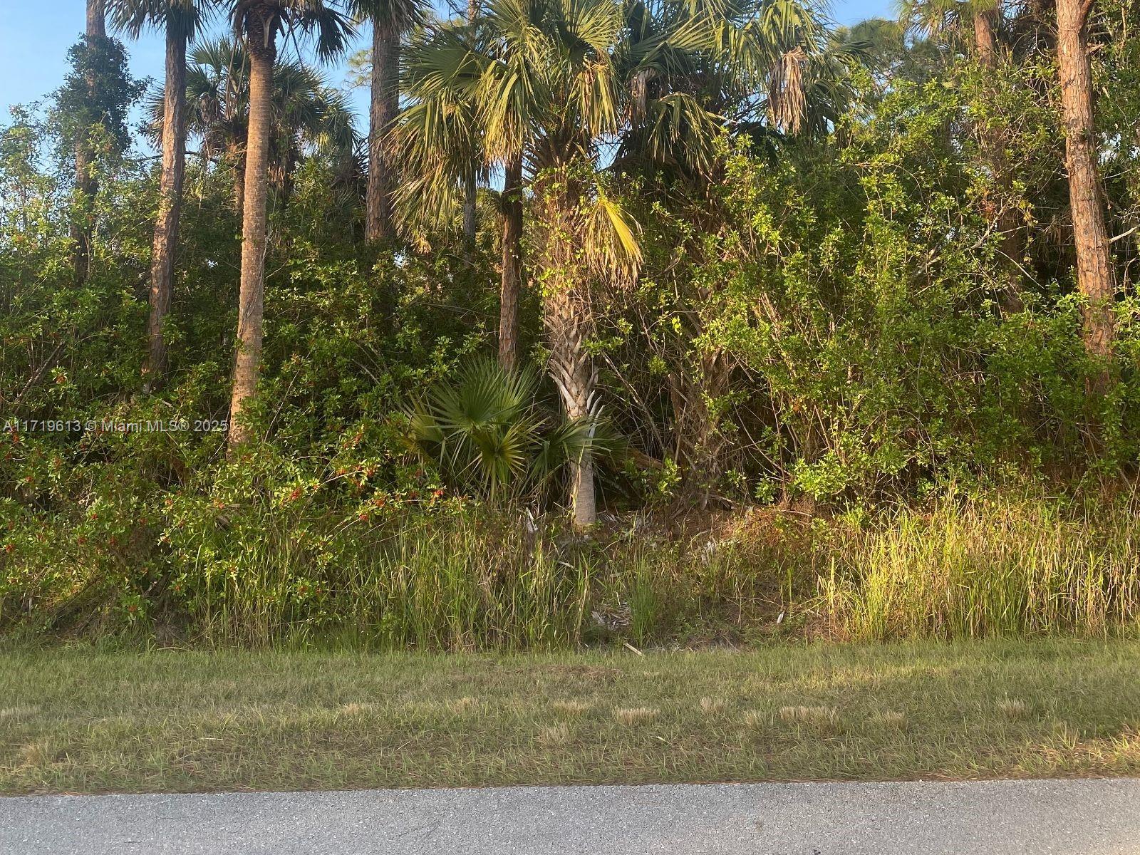 4421 16th Ave Se,, Naples, Florida image 3
