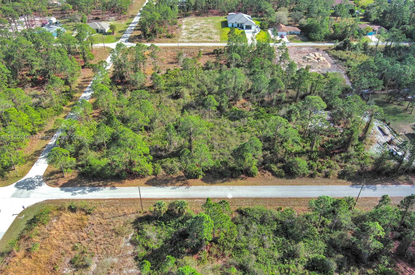 1020 Lake Ave, Lehigh Acres, Florida image 9