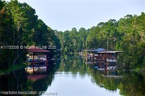 Bougainvillea Drive, Lake Wales, Florida image 17