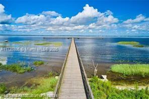 Bougainvillea Drive, Lake Wales, Florida image 24