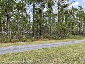 Oleander Drive, Lake Wales, Florida image 15