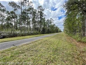 Oleander Drive, Lake Wales, Florida image 17