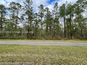 Oleander Drive, Lake Wales, Florida image 3