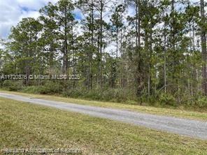 Oleander Drive, Lake Wales, Florida image 5